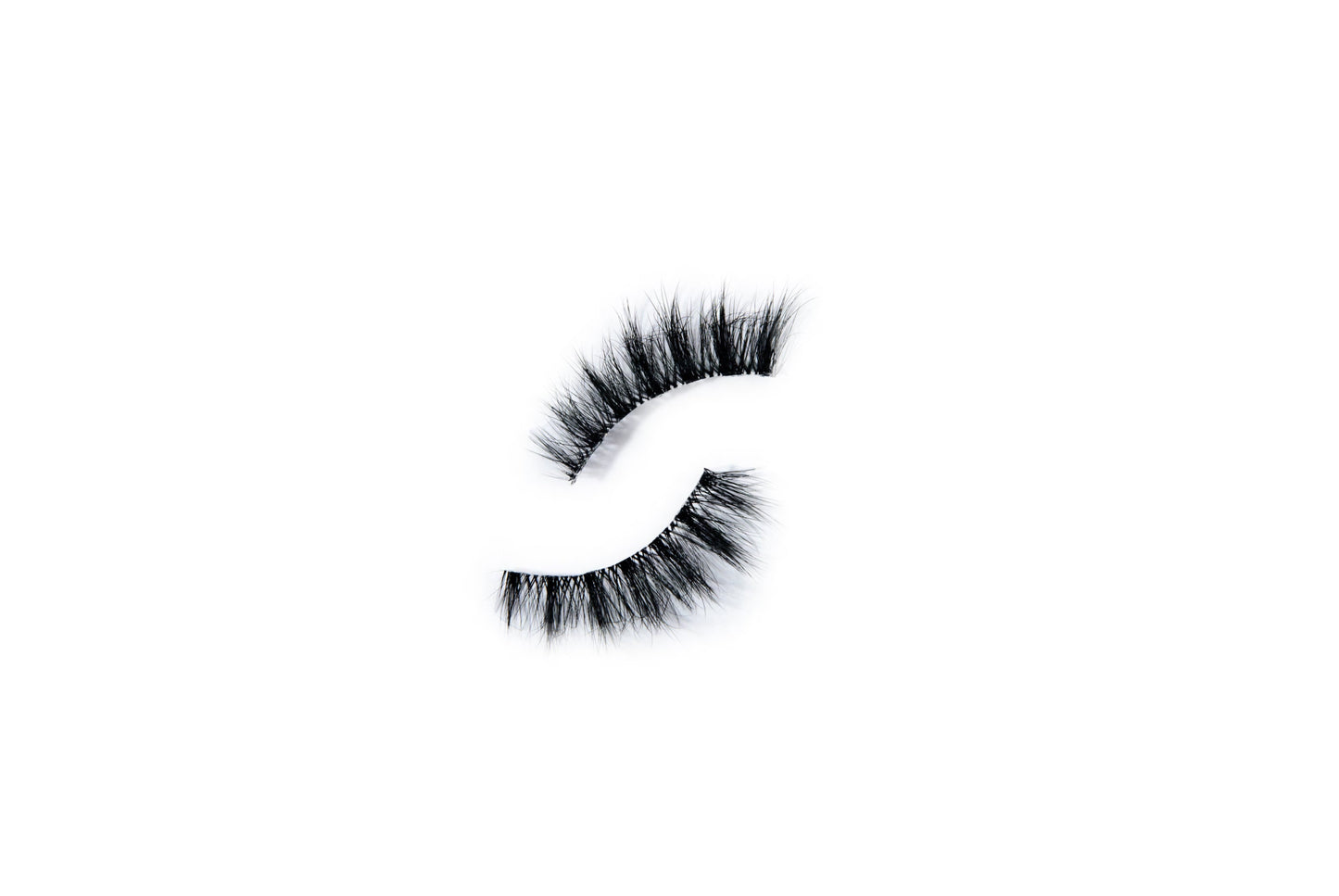Ladies Night - DMAlashes